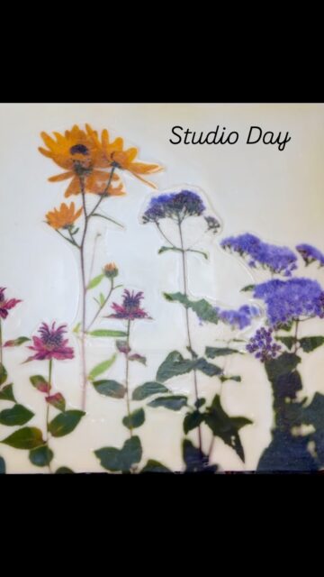 Studio Day with these beauties. New works coming soon #swampsunflower #beebalm #bluemistflower